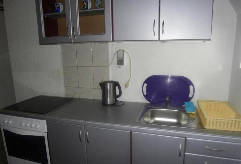 آپارتمان 1 خوابه, Morehead Guesthouse Vlasic