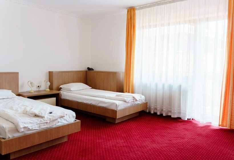 Номер Стандарт, Complex Turistic Max International