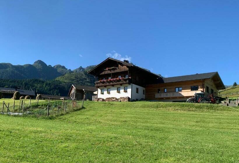 Апартаменты 1 Спальня с Видом, Guggenbergerhof