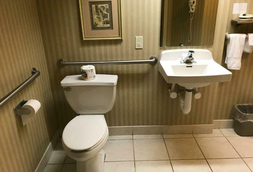 스탠다드 룸 킹사이즈 침대, Lititz Inn And Suites