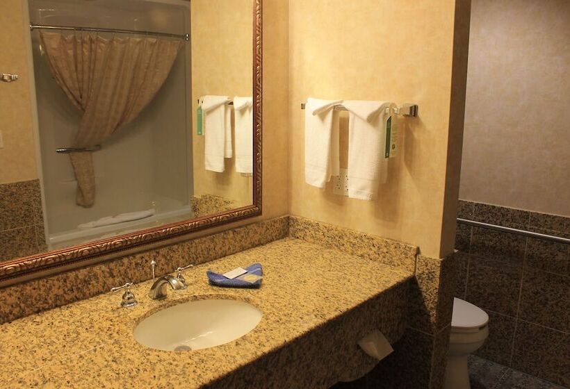 Family Suite, Rushmore Express Keystone