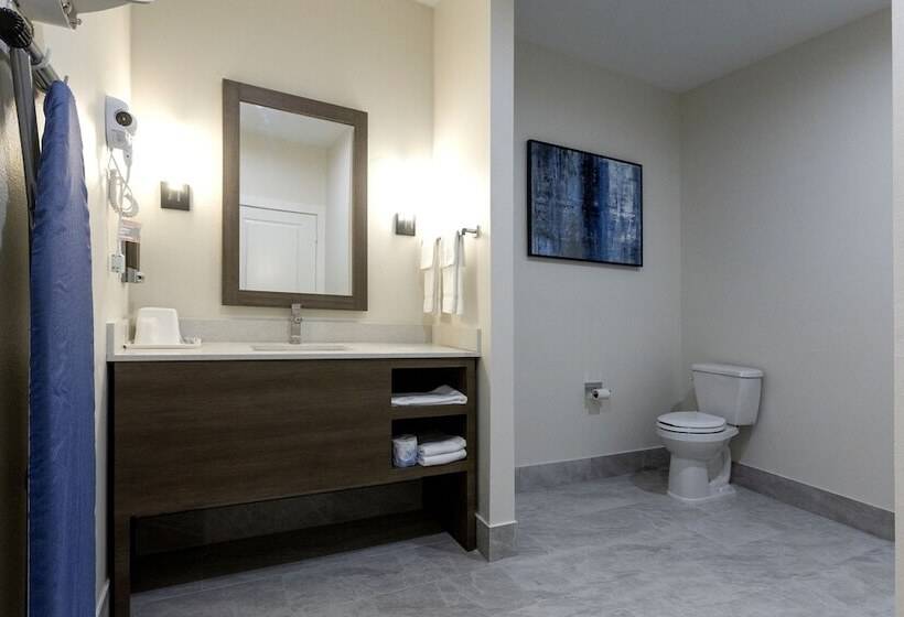 اتاق لوکس, Palace Inn Blue Edgebrook
