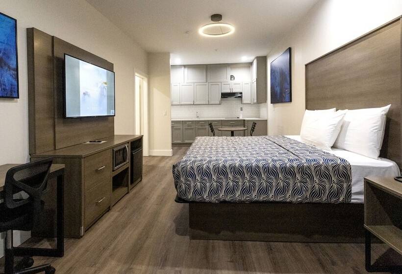 اتاق لوکس, Palace Inn Blue Edgebrook