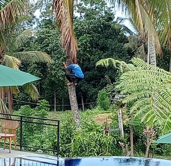 스탠다드 룸 킹사이즈 침대, Sekumpul Bali Hidden Space