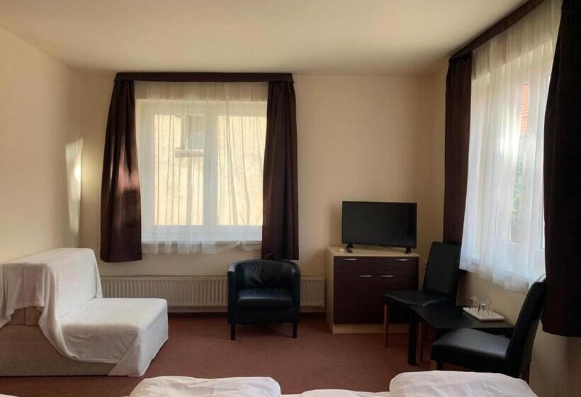Номер Стандарт Трехместный, City Hotel Agoston