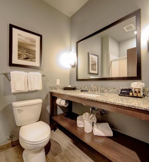 스탠다드 룸 킹사이즈 침대, Best Western Plus Overland Inn