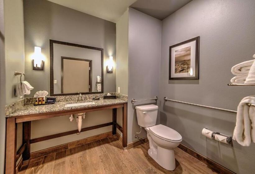 Номер Стандарт Адаптированный для Инвалидов, Best Western Plus Overland Inn
