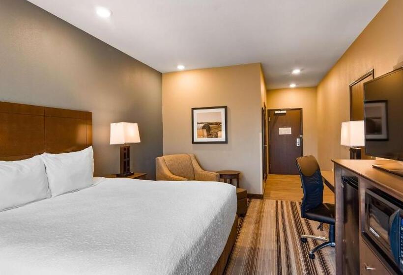 Номер Стандарт Кровать Кинг Адаптированный для Инвалидов, Best Western Plus Overland Inn