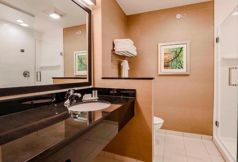 Стандартный Номер Кровать Кинг, Fairfield Inn & Suites By Marriott Snyder