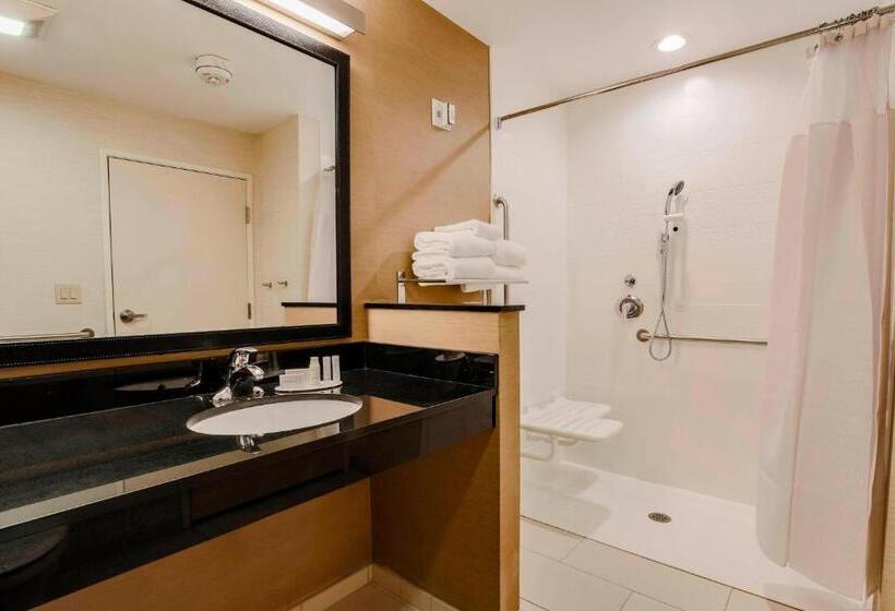 Люкс, Fairfield Inn & Suites By Marriott Snyder