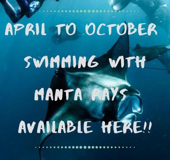 Номер Стандарт Вид на Море, White Sandy Beach Best Manta Snorkeling