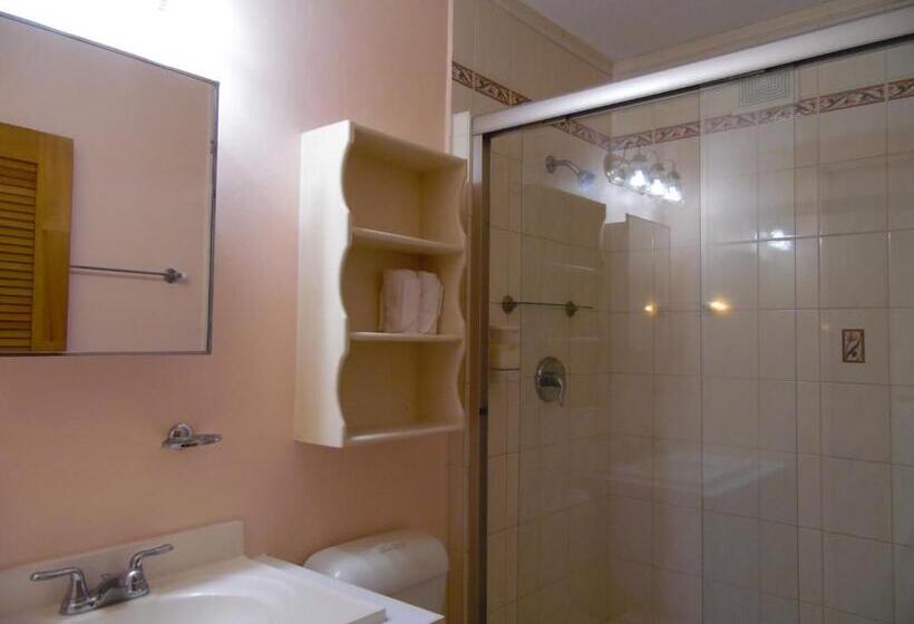 استودیو استاندارد با تخت کینگ, Vacation Suites