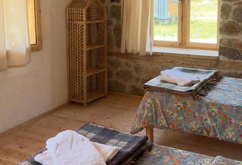Номер Стандартный с Видом, Yuva Eco Centre