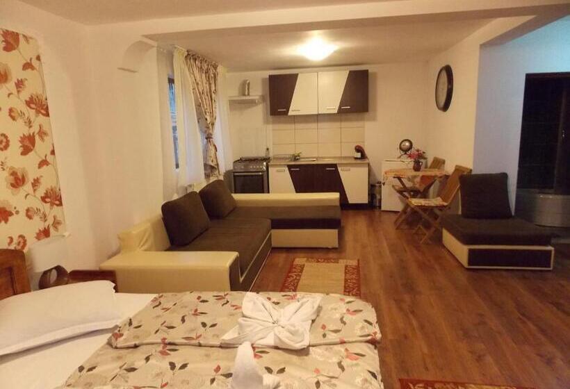 استودیوی استاندارد, Pensiunea Portas Resort