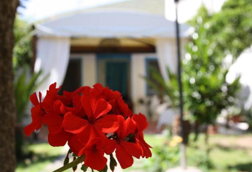 کلبه ییلاقی, Blue B&b