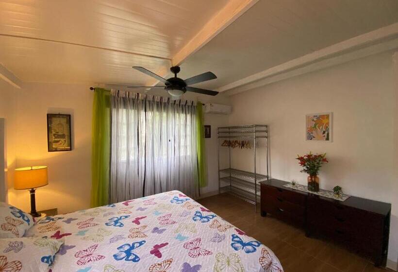 스탠다드 룸, Aeolus Guest House