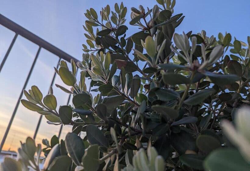 חדר סטנדרט לשלושה עם טרסה, Wanderlust House