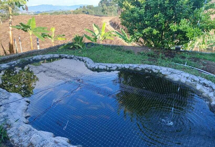 스탠다드 스튜디오 정원 전망, Rancho El Vergel