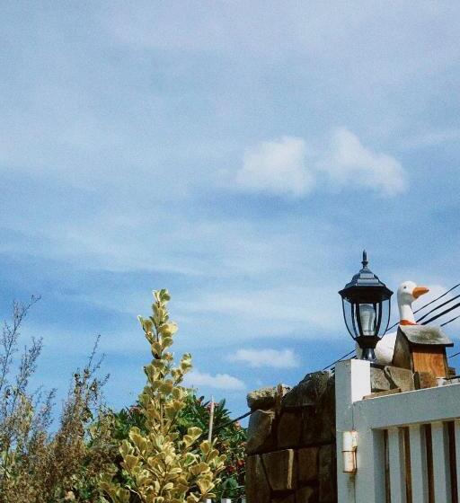 اتاق عادی یک تخته, Chái Nho Homestay
