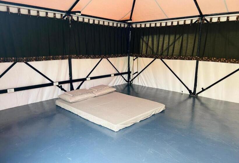 Standard Tent, Camp Backpackers Port Barton