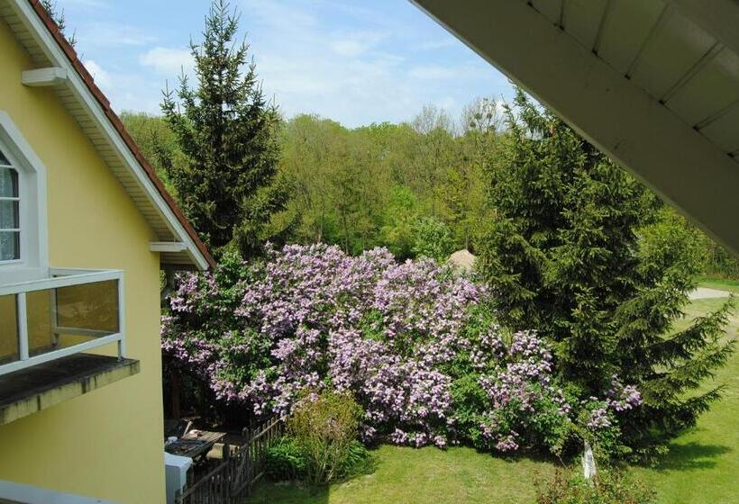 Семейный Номер, Villa Hedi Panzió