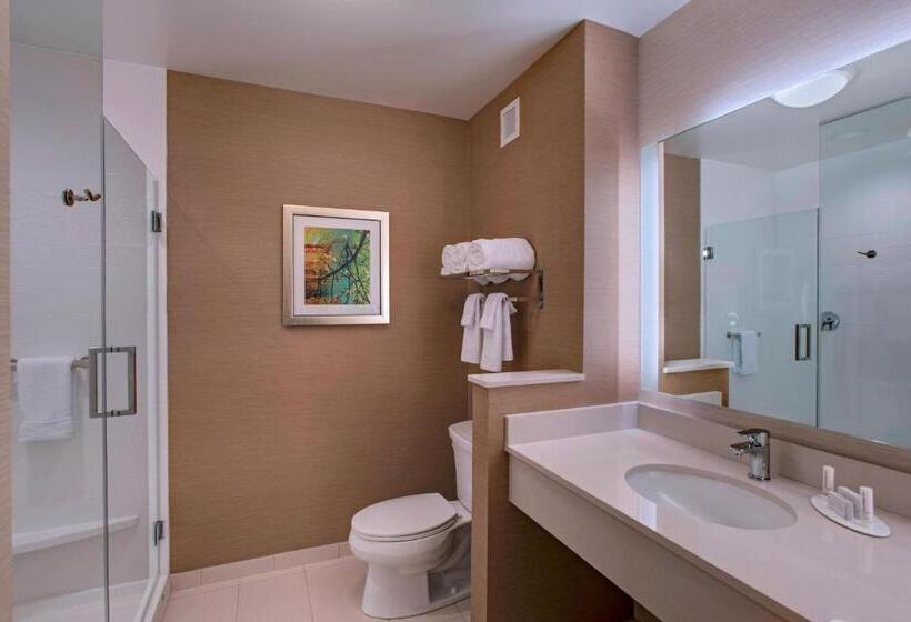 Номер Стандарт Адаптированный для Инвалидов, Fairfield Inn & Suites By Marriott La Crosse Downtown