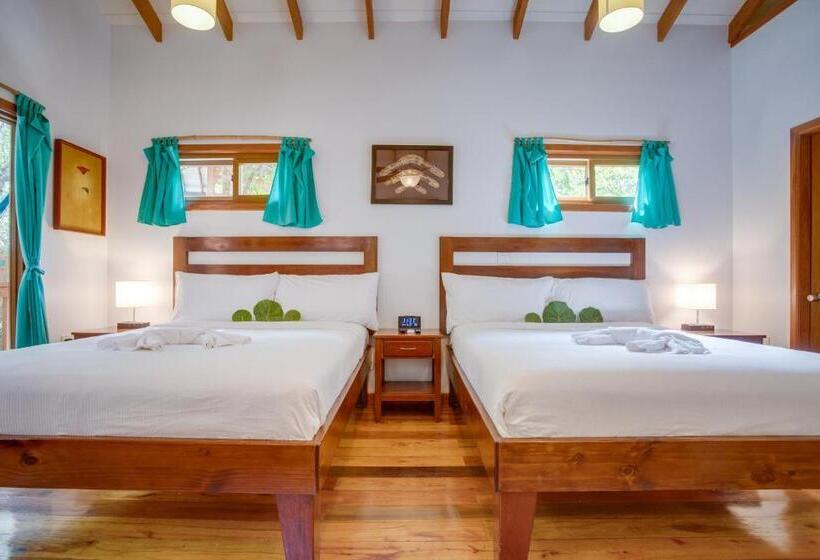 Бунгало Deluxe, Mariposa Belize Beach Resort