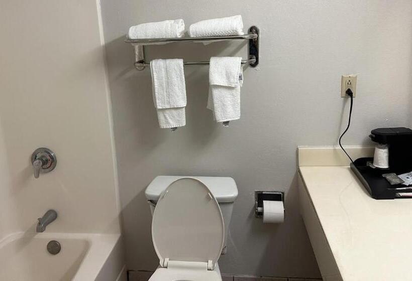 스탠다드 룸 킹사이즈 침대, Super Inn & Suites Philadelphia