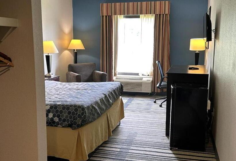 장애인을 위한 킹사이즈 침대 스탠다드 룸, Super Inn & Suites Philadelphia