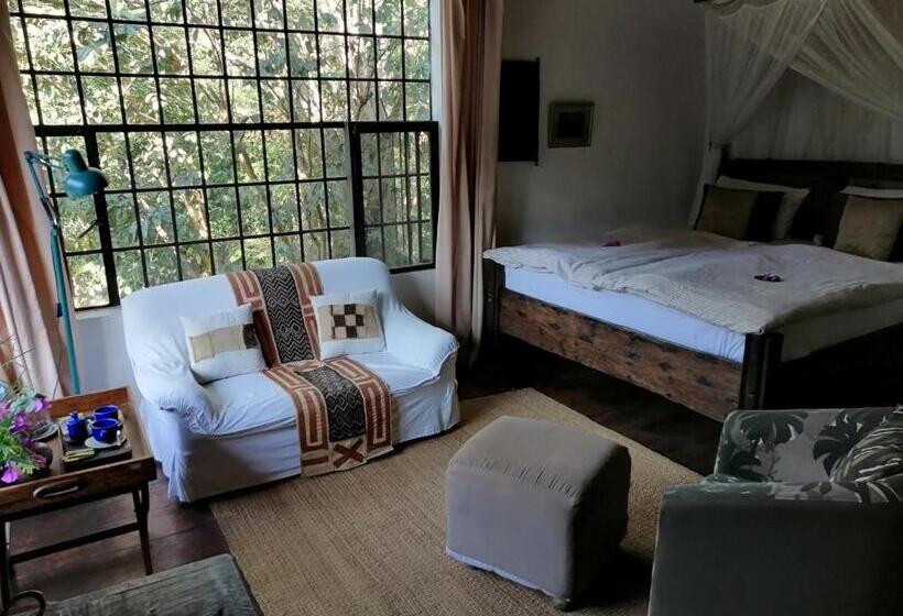스탠다드 룸 킹사이즈 침대, Meru House Lekisilai