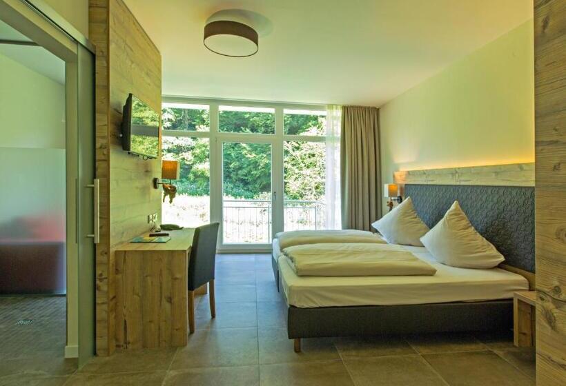 Номер Deluxe Одноместный, Landhotel Weihermühle