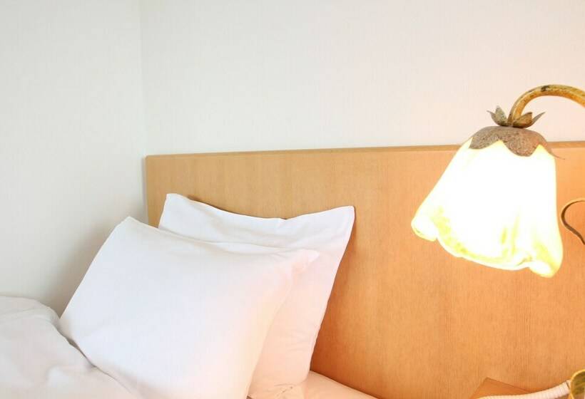 Номер Deluxe, Hikone Biwako