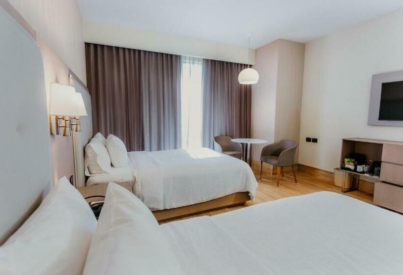 ２ダブルベッドのスタンダードルーム, Hilton Garden Inn Silao Aeropuerto Bajio