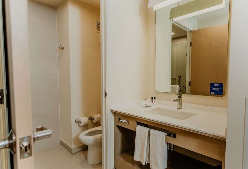 ダブルベッドスタンダードルーム, Hilton Garden Inn Silao Aeropuerto Bajio