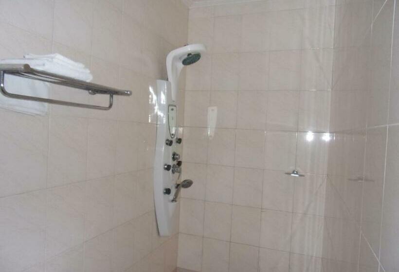 اتاق سوپریور, Residence Flamani