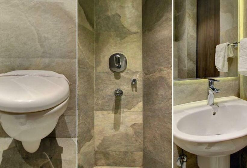 Номер Deluxe, Lakeside Inn Nainital