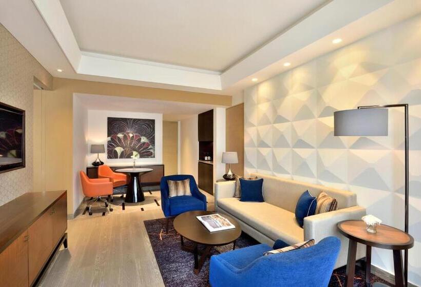 Президентский Люкс, Radisson Blu Faridabad