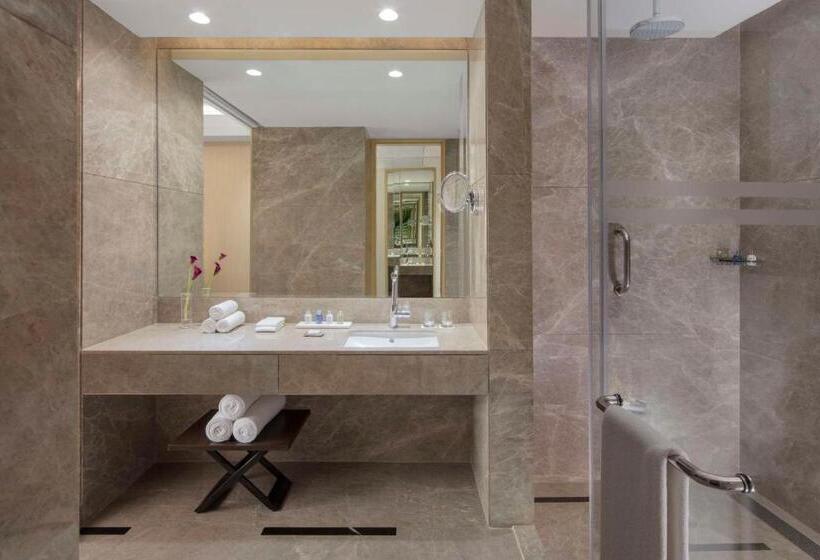 Президентский Люкс, Radisson Blu Faridabad