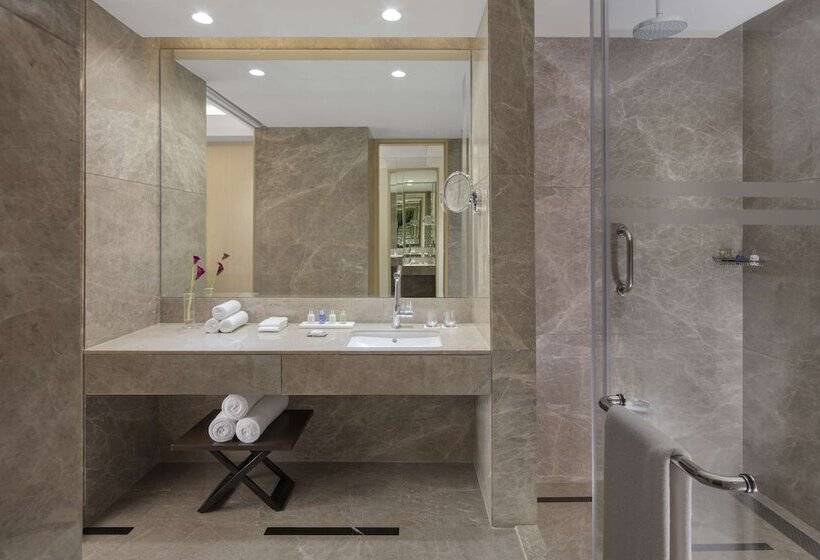 Номер Superior, Radisson Blu Faridabad