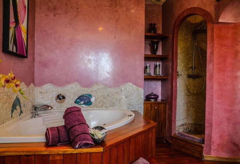 Номер Стандарт, B&b Val D Azur