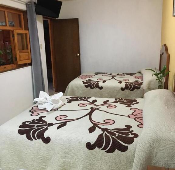 スタンダード４人部屋, Posada Camelinas