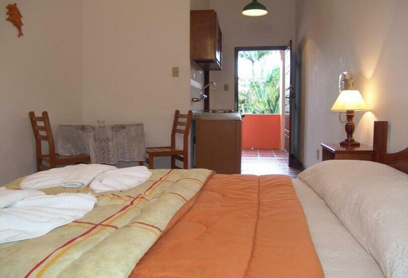 带1个卧室的公寓, La Alhambra Apart