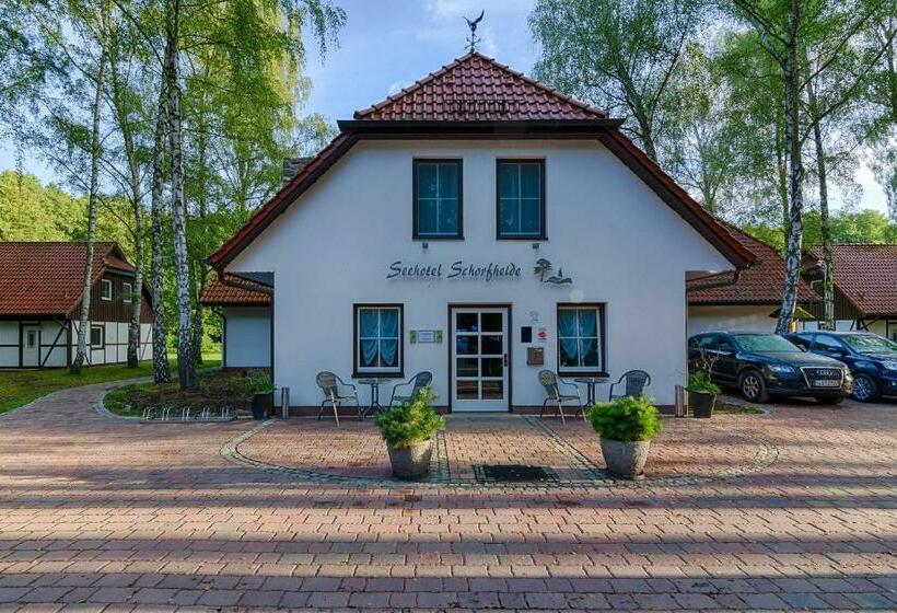 Номер Стандарт с Террасой, Seehotel Schorfheide