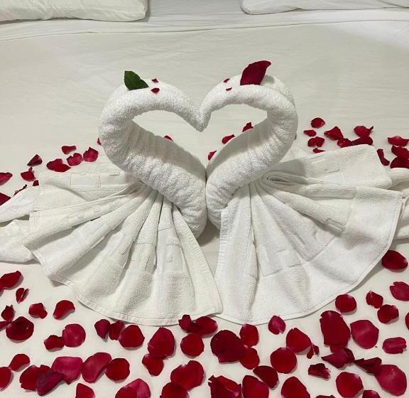 استودیوی استاندارد, Aparta Hotel Roma