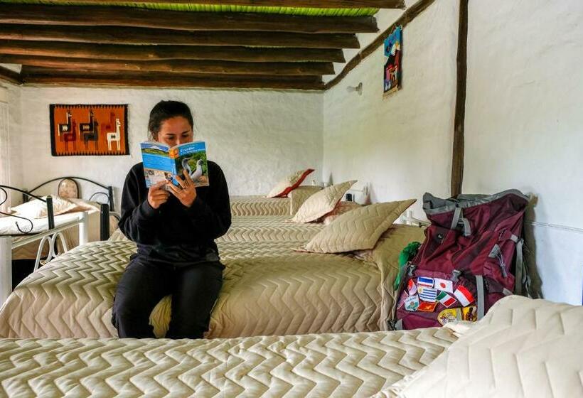 تختخواب در اتاق مشترک, Hosteria Colibri Aeropuerto