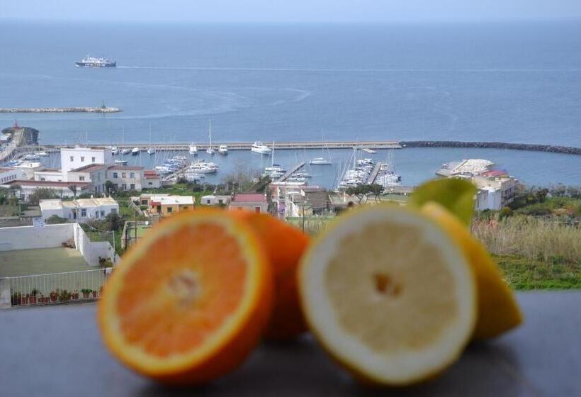 Tengerre Néző Háromágyas Deluxe Szoba, Terra Murata Boutique B&b