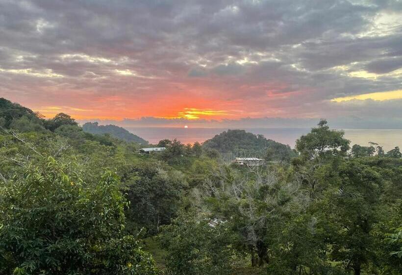 Семейный Номер, Pura Natura Lodge Manuel Antonio