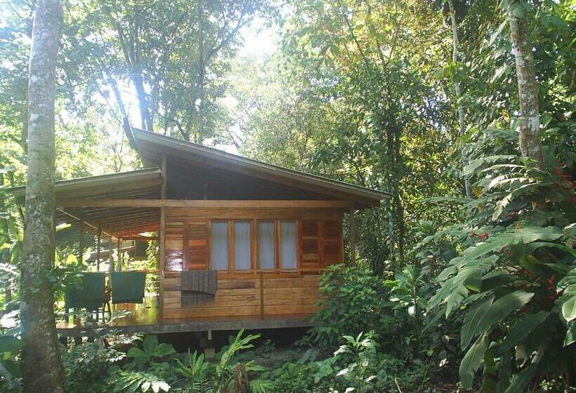 家庭间, El Tucan Jungle Lodge