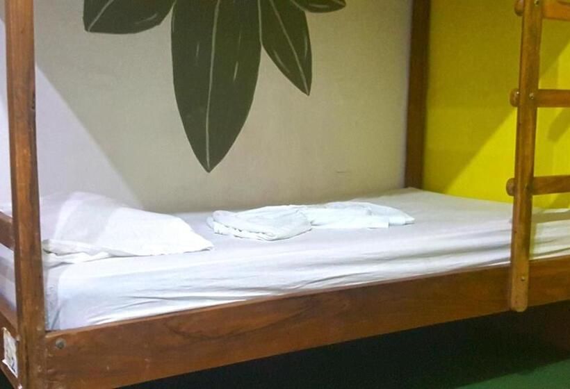 Кровать в Общей Комнате, Casa Moreno   Hostel