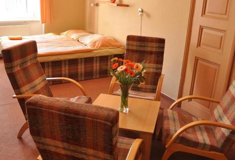 家庭房间共用浴室, Hostel Děčín